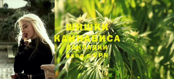 прущие крисы Горняк