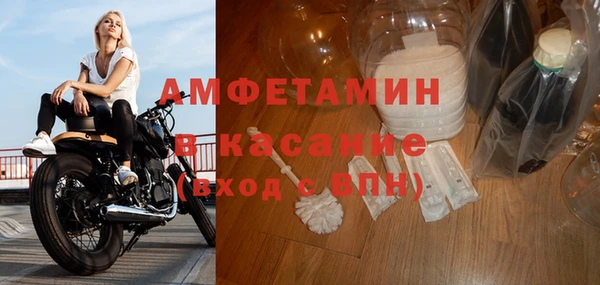 прущие крисы Горняк
