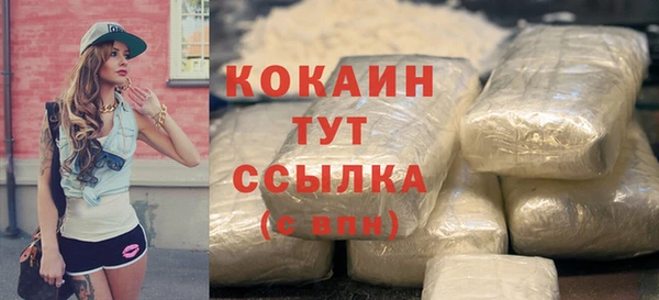 прущие крисы Горняк
