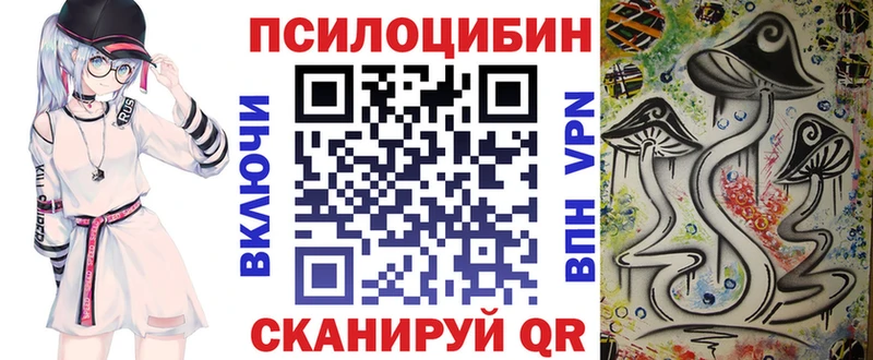 сколько стоит Дмитровск Псилоцибиновые грибы Cubensis